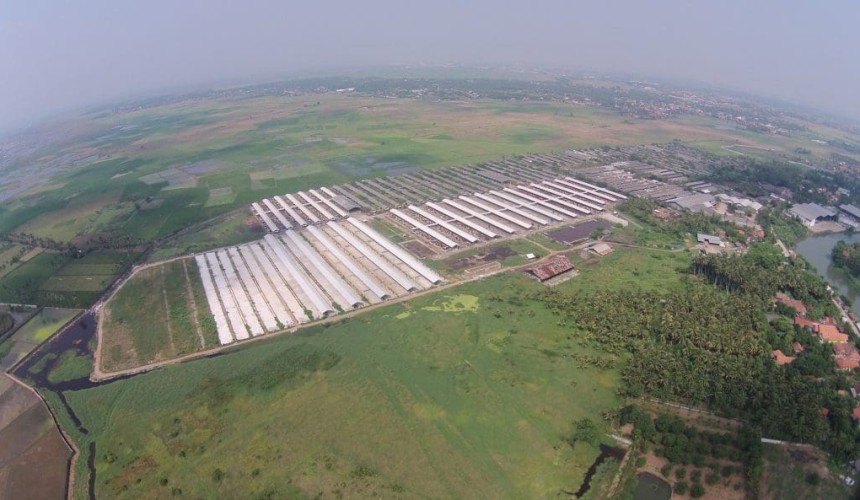 Permit uncertainty only obstacle to Indonesian feedlot expansions