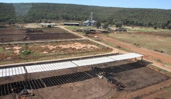 Property: Twynam’s The Mount feedlot sells to Chinese buyer