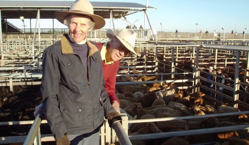 Roma Store 7 July 2015: Largest yarding for year, Qld record prices