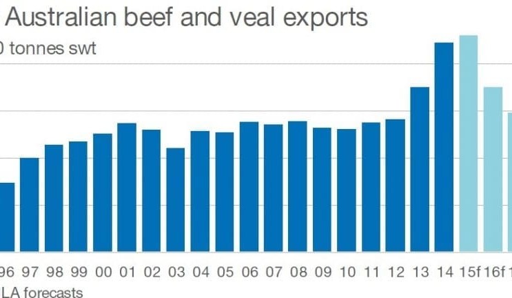 High cattle turnoff, exports set to continue: MLA projections + VIDEO