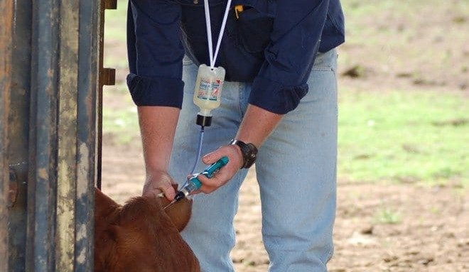 Ag pest and disease chemical resistance top priority for new RIRDC forum