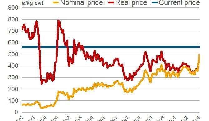 Real cattle prices highest in 30 years: MLA