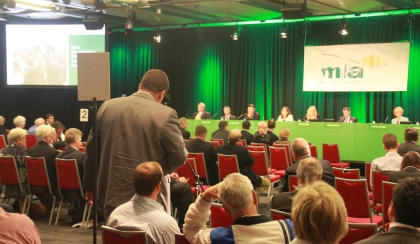 Five-year review measures MLA’s value to industry