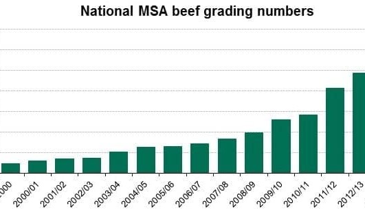 MSA grading hits record 3.22 million head for 2014-15 year