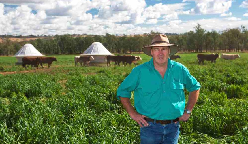 Ceres Ag adopts innovative pasture-based feedlot model