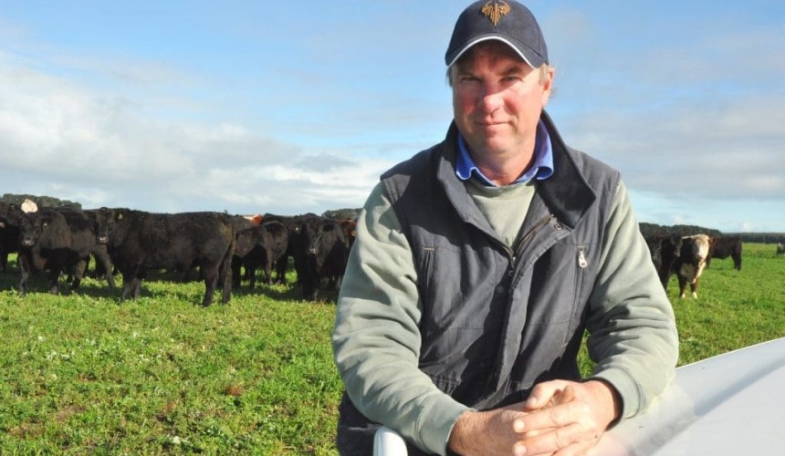 Southern Grassfed carcase comp offers valuable feedback