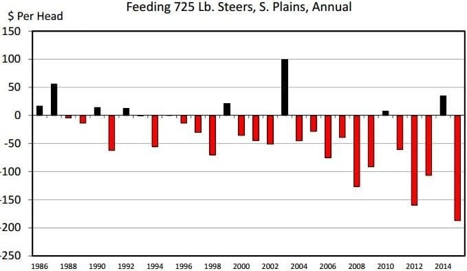 Comparing US feedlot profitability with Australia’s finds common ground