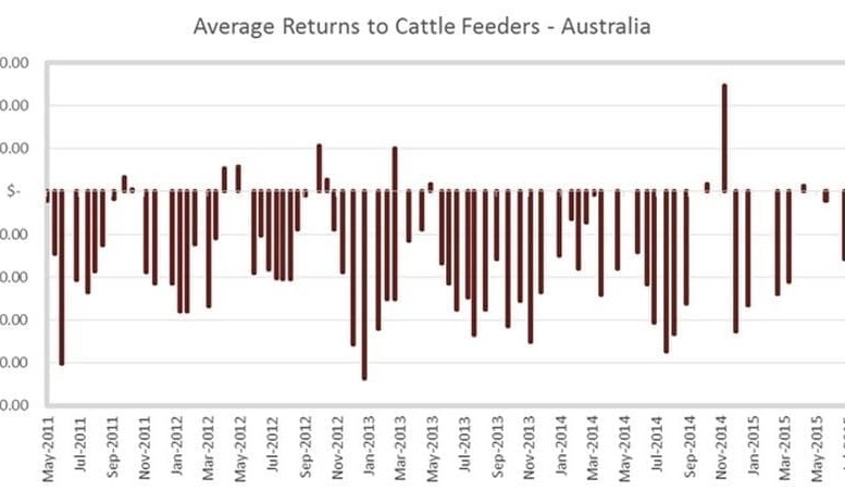 Grainfed cattle price rise can’t stem $20 loss in latest 100-day trading budget