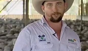 Eight tips to avoid injury when working livestock + VIDEO