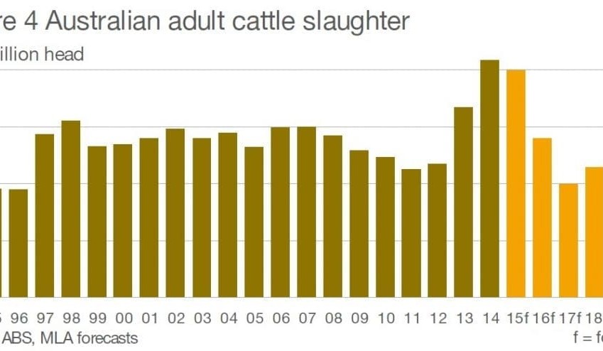 Where to now for processing operations, in the face of declining slaughter numbers?