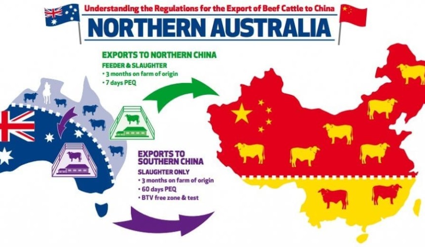 What the China livex protocol means for northern, southern producers
