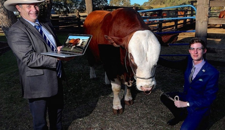 What’s next for Google Glasses in the beef industry?