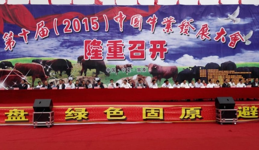 Export anticipation builds at China cattle conference