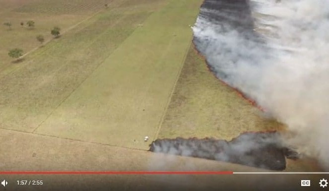 Another way of looking at the cows and carbon debate + VIDEO