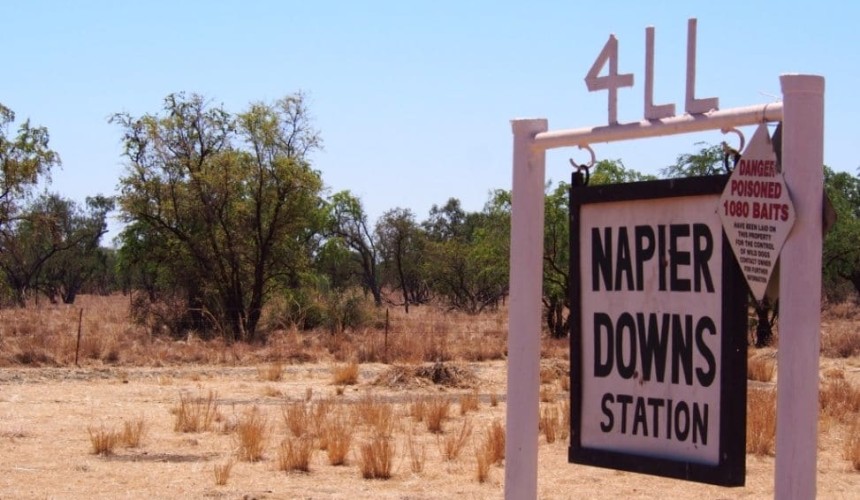 Stokes re-enters northern WA cattle industry with Napier Downs purchase