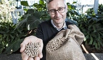 QUT biotech research to provide ‘feed boost’ for livestock