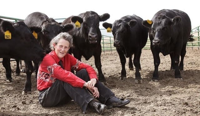 Temple Grandin and OIE chief to speak at LiveXchange 2015