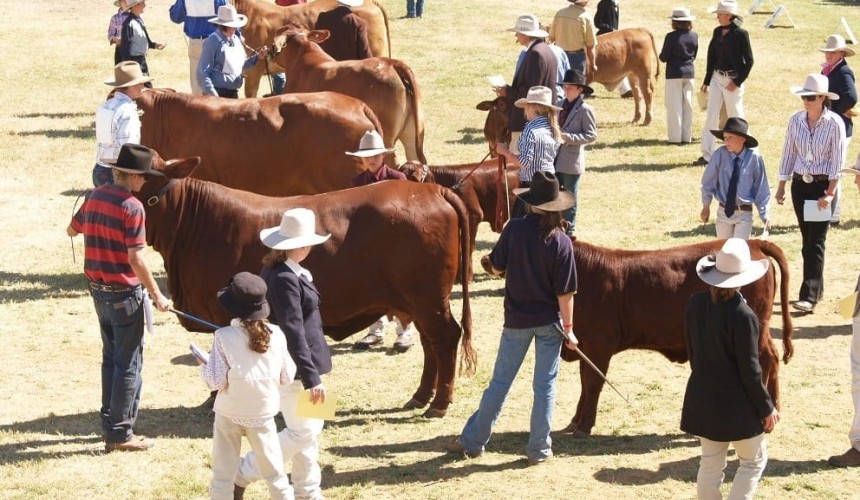 Biosecurity update:  It’s show time – bring home a ribbon, not pests and disease