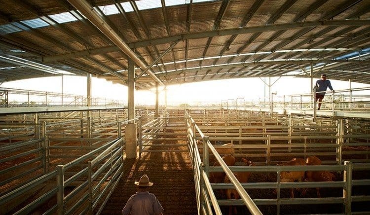 EYCI edges closer to 600¢