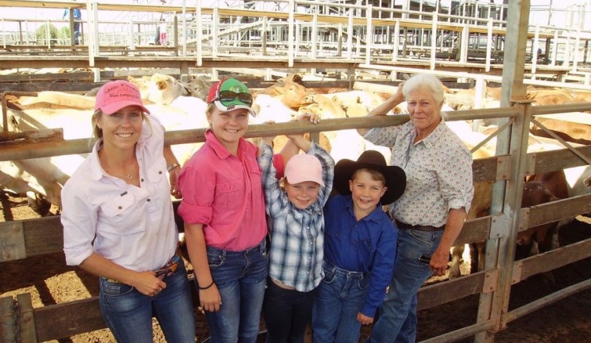 Roma Store 29 Sep 2015: Light steers to 378c/kg