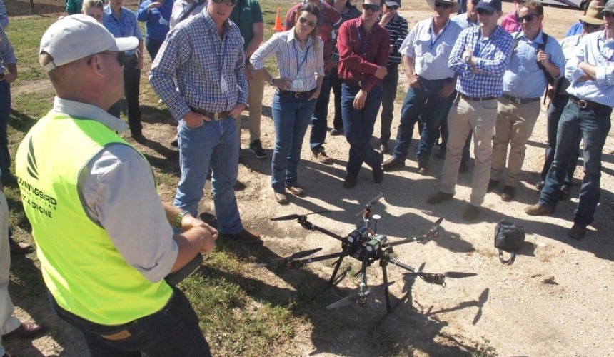 Drones hold promise in cattle applications, but beware some of the ‘myths’