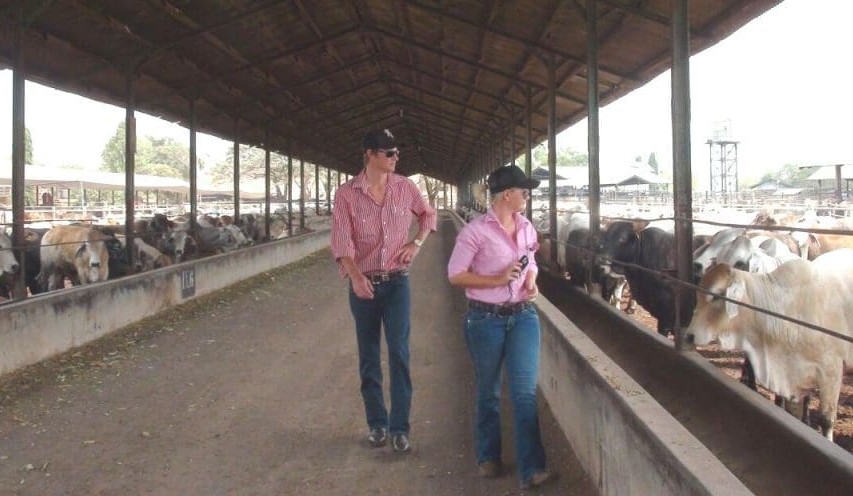 Producers follow cattle live export journey to Indonesian markets