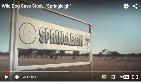 Exclusion fencing delivering results on Blackall property + VIDEO