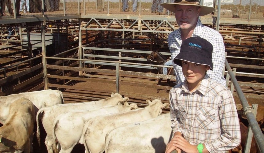 Roma store 20 Oct 2015: Cheaper but lower supply adds floor