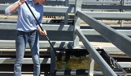 Careers: Brisbane high school students keen on a future in beef industry