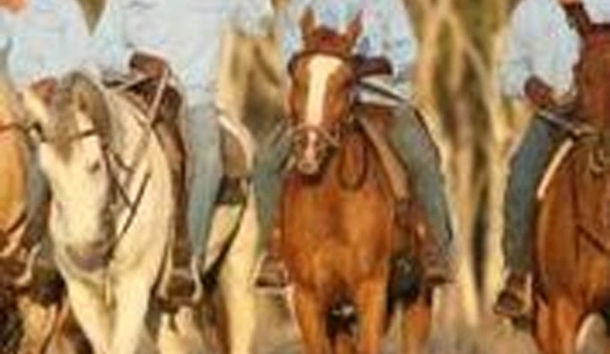 Aboriginal stockmen back in the saddle