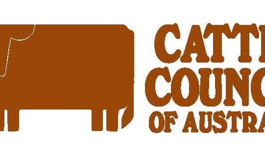 Cattle Council to receive $1.9m from MLA, project to upskill producer leadership