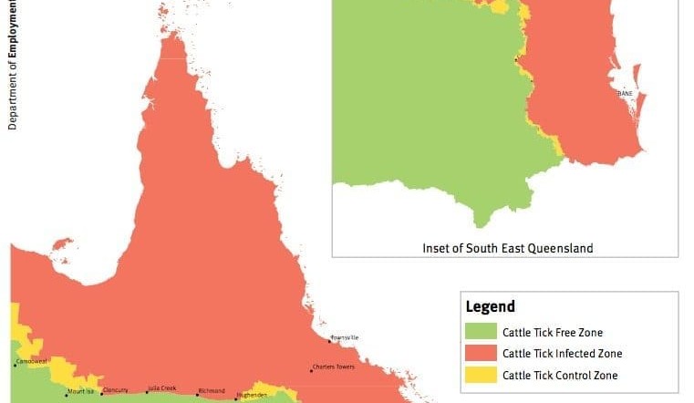 Qld to end cattle tick ‘control’ zone
