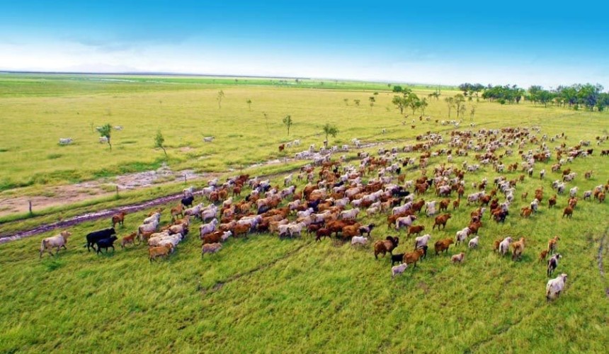 Forum aims to guide agribusiness to becoming ‘investor ready’
