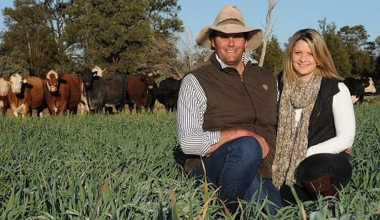 Fertility testing means dollars in the bank for Goondi cattle producers