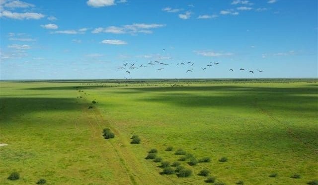 $230m expectations for NT’s Walhallow and Amungee Mungee
