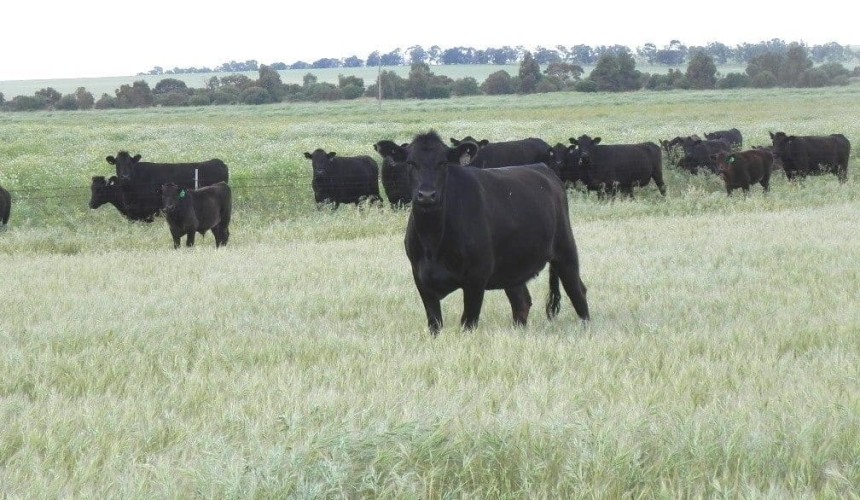 Property: WA’s noted Joanna Plains changes hands