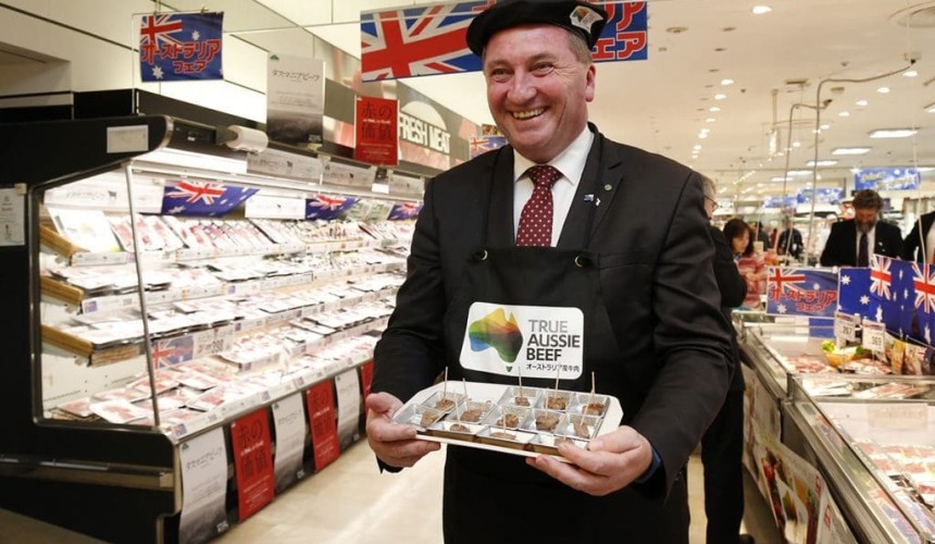 Australia sees Japanese cattle producers as ‘partners’, Barnaby tells Japanese media