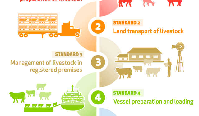 App puts livex standards at trade’s finger tips