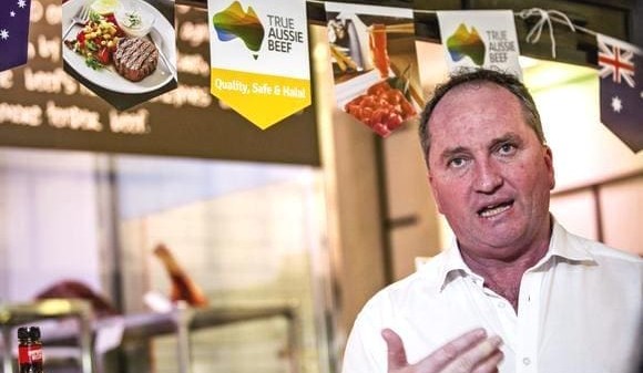 Barnaby Joyce gives some protection on Turnbull’s vulnerable right flank