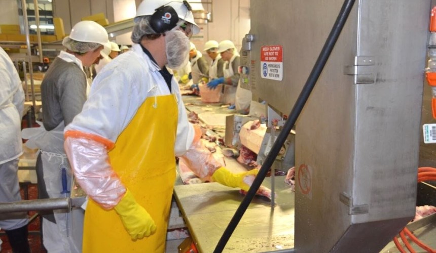 Technology provides elevated workplace safety for Goulburn meatworkers + VIDEO