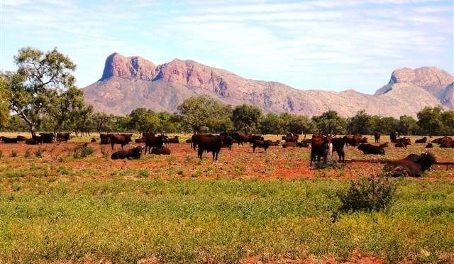Weekly property review: Central Australia experiences its own mini property boom
