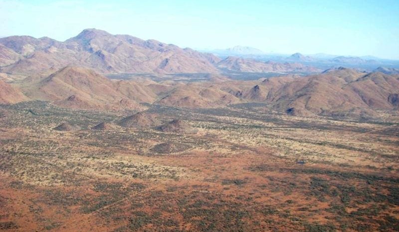Property: Hewitt Cattle’s Narwietooma purchase creates one of world’s largest Organic aggregations