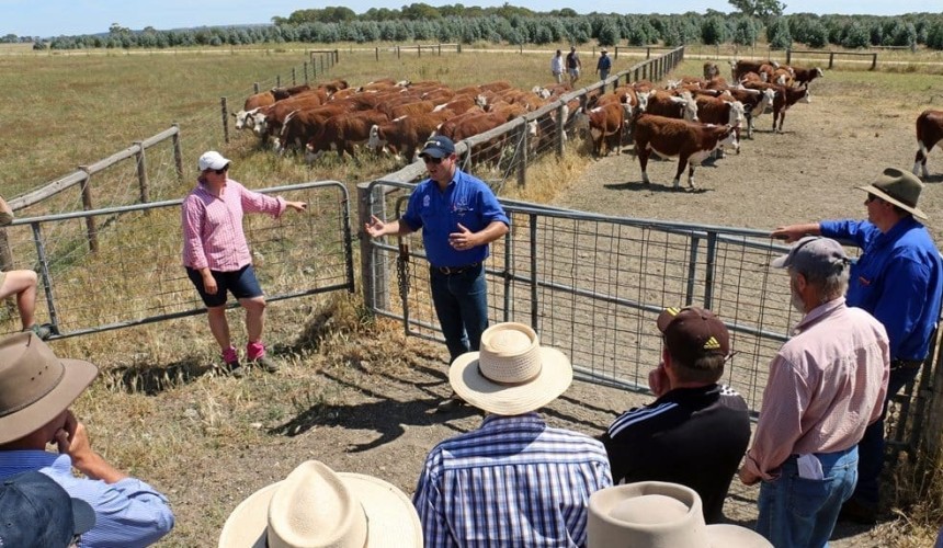 Reference group to address livestock R&D adoption challenge