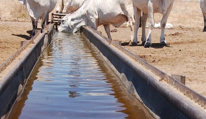 Crowd funding boosts agtech nutrition platform