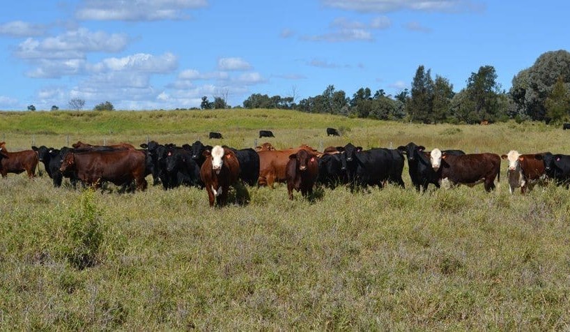Is there any money in soil carbon projects? It seems there is now