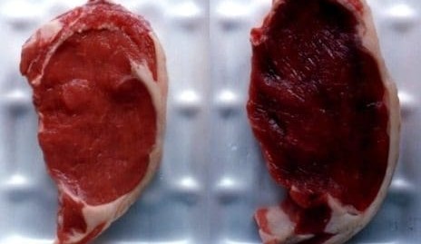 Research suggests other factors in play in seasonal dark-cutting ‘spikes’