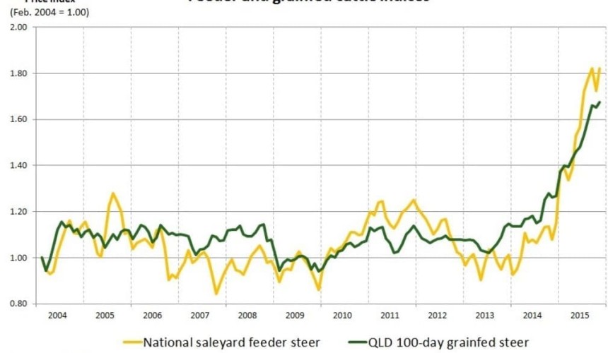 Surge in feeder prices outstrips fed cattle
