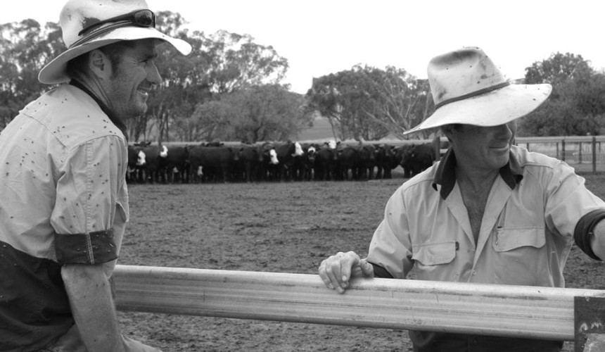 Inverell’s Nullamanna crowned Woolworths Supplier of the Year