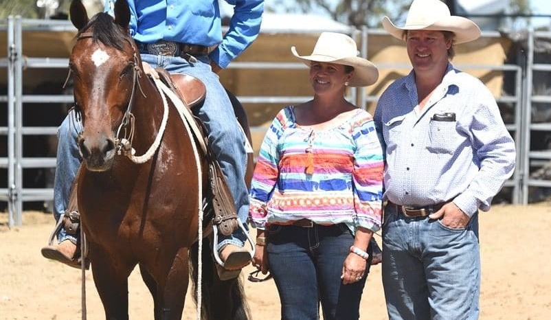 Dalby Stockhorses average solid $8732