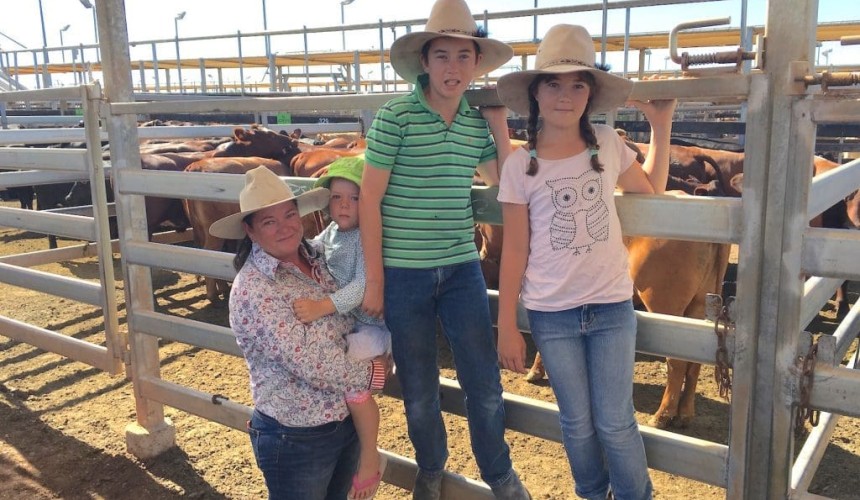 Roma Store 12 Jan 2016: Cows and calves to $1710